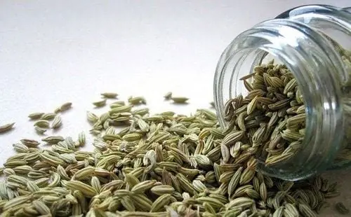 Rediscovering Their Role in Digestive Health, Hormone Balance, and Relaxation - Dill Seeds