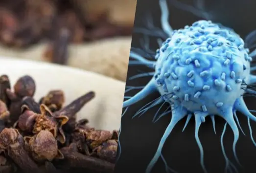 Clove and Its Promising Role in Supporting Overall Health