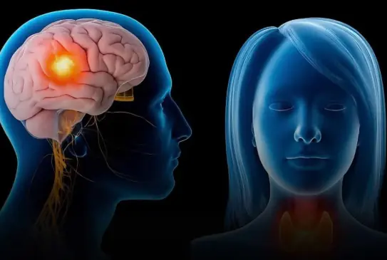 Your Guide to Head & Neck Canc3r: What Raises Your Risk, What Symptoms to Watch For, and How to Stay Safe