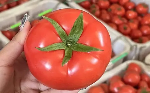 How to Find Ripe and Delicious Tomatoes at the Market