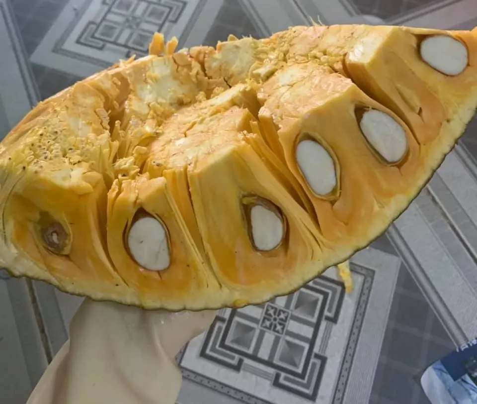 Jackfruit Isn’t Suitable for Everyone: Who Should Limit It?