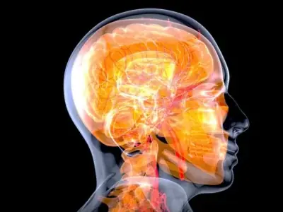 12 Critical Signs of a Brain Aneurysm That Demand Immediate Attention