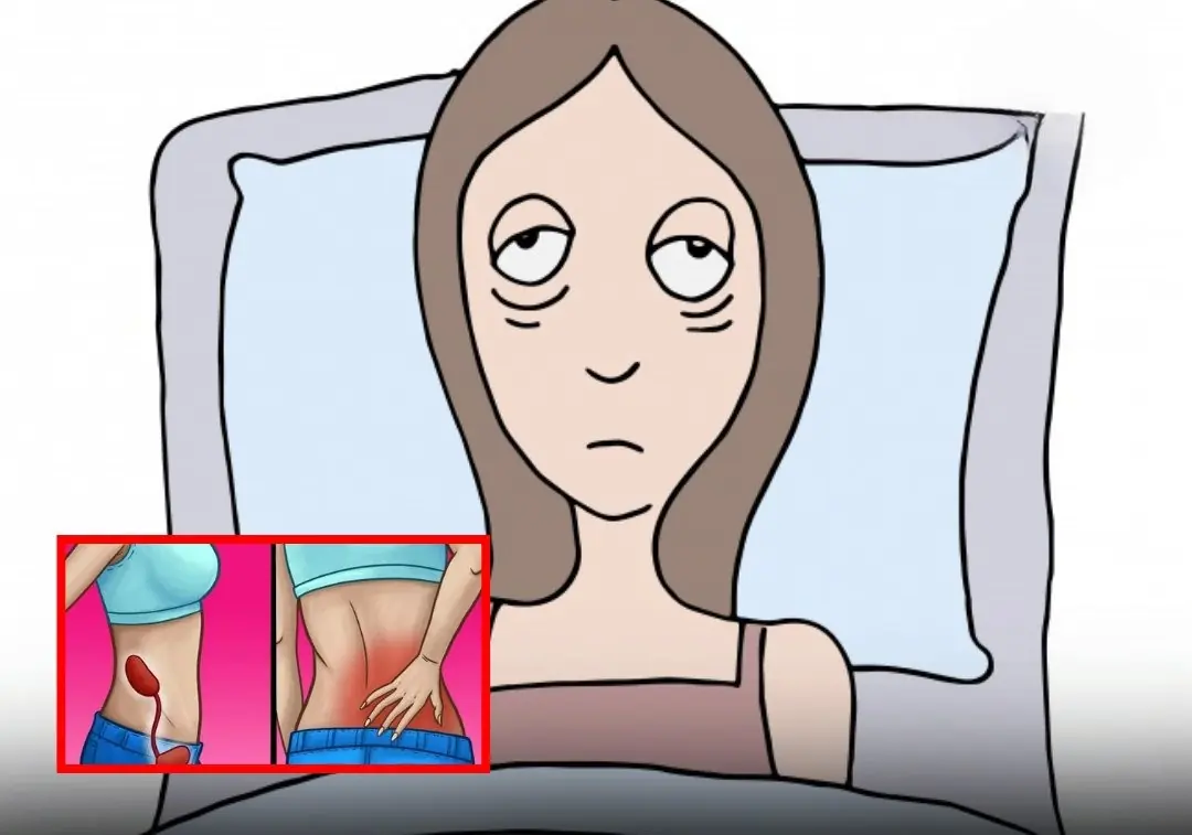 Kidney Health Alert: Key Warning Signs That Require Immediate Attention