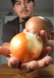 Should You Be Careful with Onions? Here’s What to Consider