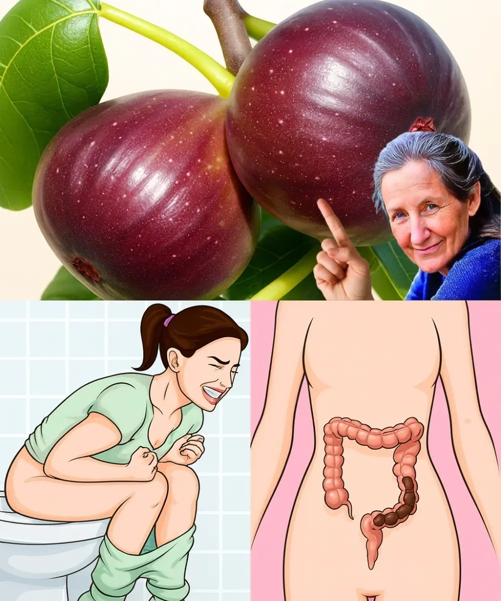 7 Natural Remedies That Beat Constipation FAST — The Fig Trick Doctors Rarely Mention