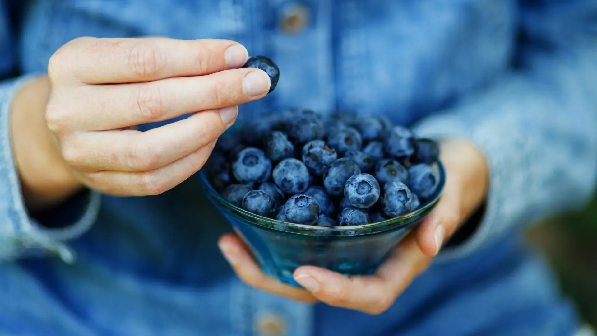 Can Blueberries Help Boost Memory? Scientists Explore the Evidence