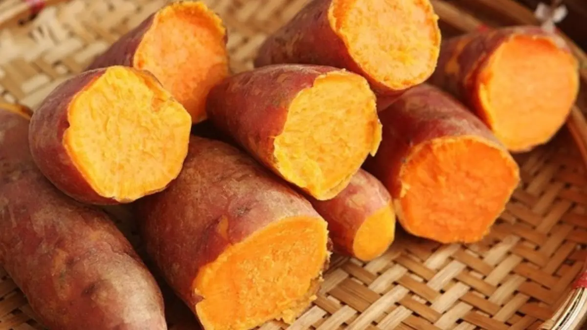 Unexpected Health Changes from Having Boiled Sweet Potatoes for Breakfast