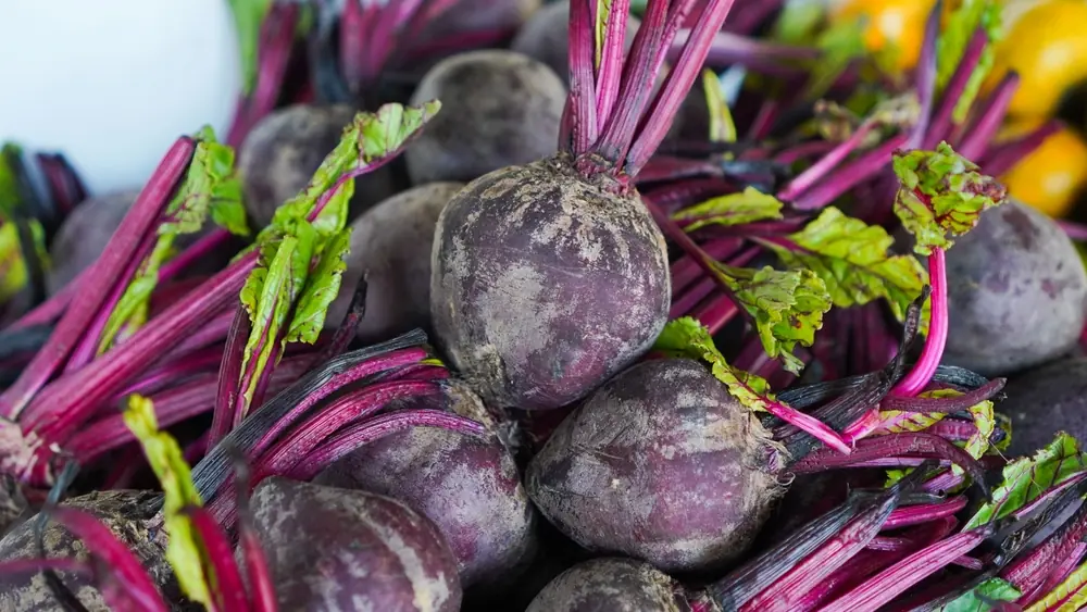 The Health Benefits of Beet Root: Nutrition, Heart Health & More