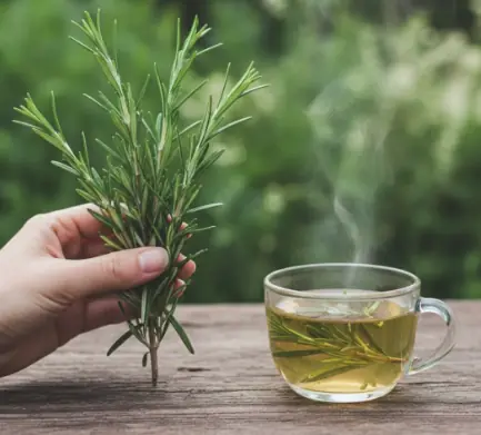 Rosemary: the natural morphine for muscle and joint pain.