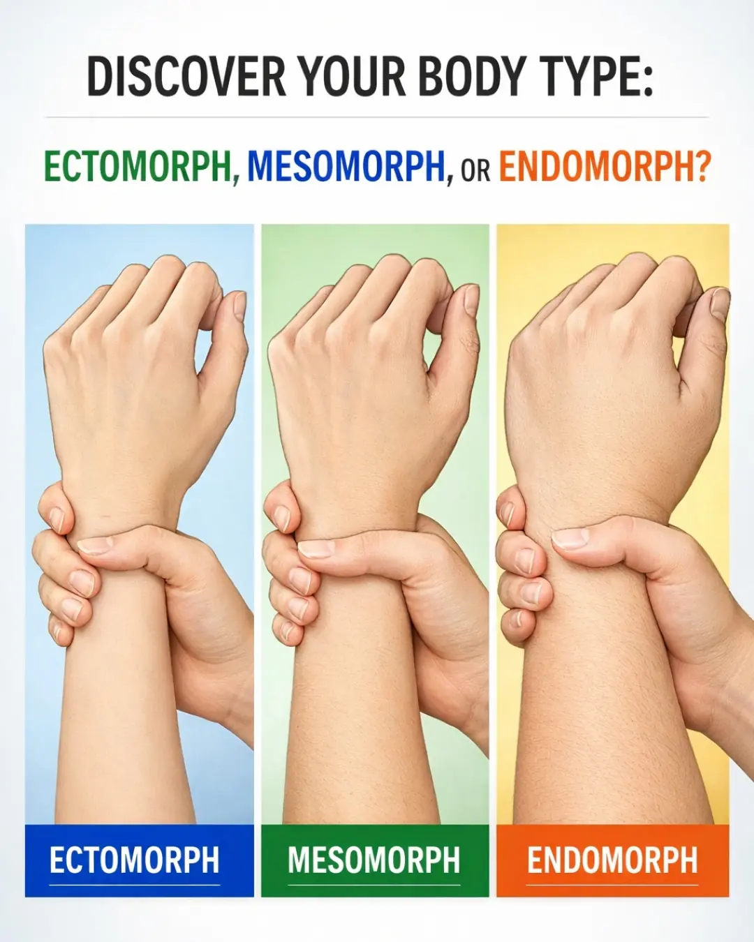 Ectomorph, Mesomorph, or Endomorph? Discover Your True Body Type
