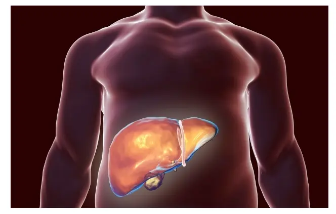 How Liver Trouble Can Cause Pain in Unexpected Places