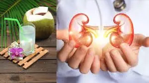 Coconut water may have a unique interaction with kidney function