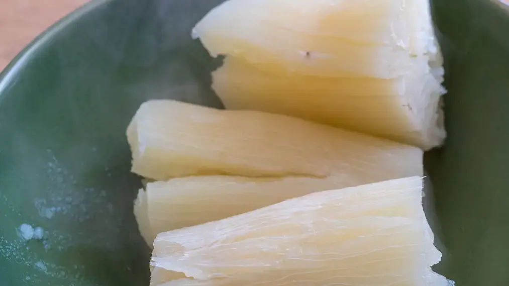 The World’s Dea.dliest Food? Cassava’s Dual Role as Lifeline and Hidden Dan.ger