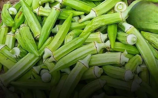 Okra Looks Healthy, but It May Be Off-Limits for These 3 Groups of People