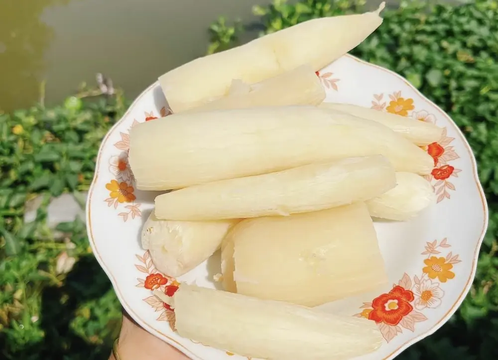 Doctors Warn: The Hidden Health Risks and Benefits of Cassava (Yuca) You Should Know