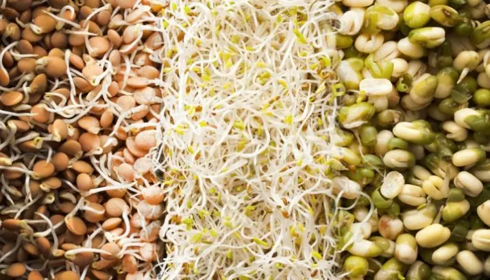 3 Sprouted Foods with Outstanding Health Benefits
