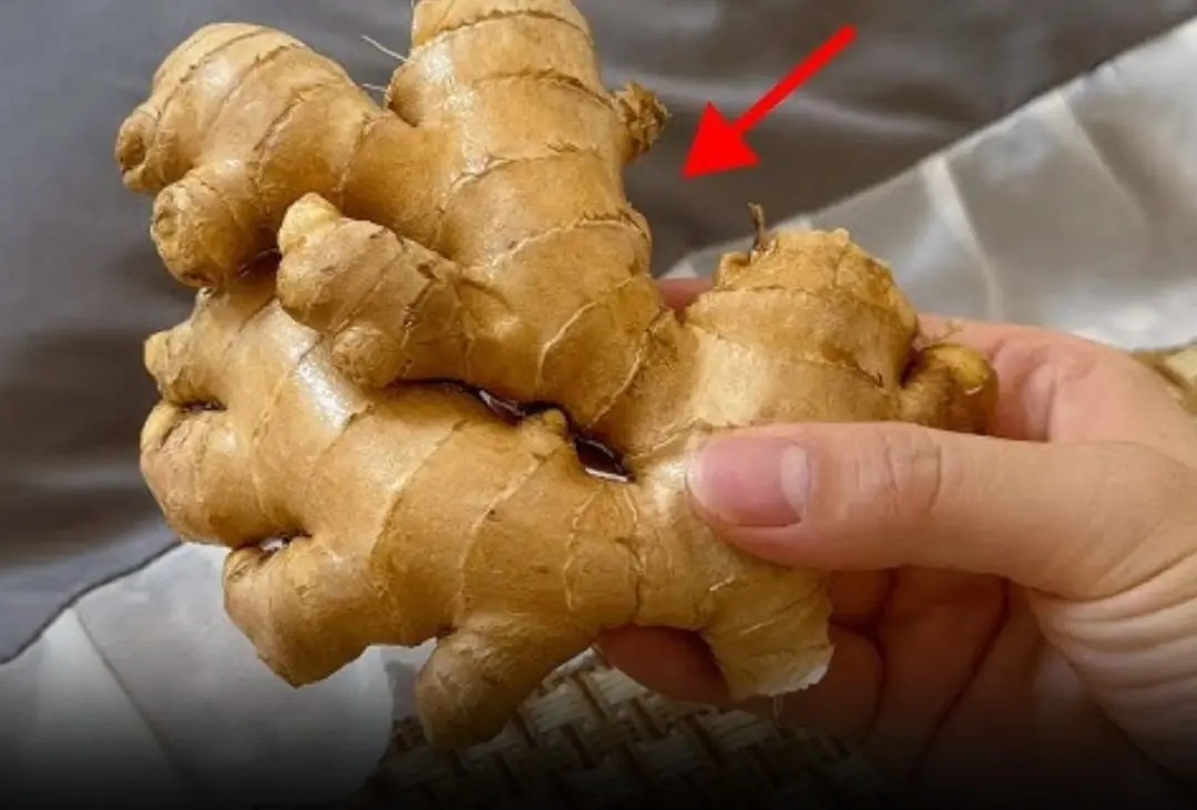 Placing Ginger Beside Your Pillow While You Sleep: A Simple Trick for Better Health and Rest