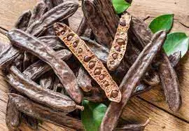 The Power of Carob (Ceratonia siliqua): Nutritional Benefits and Everyday Home Remedies