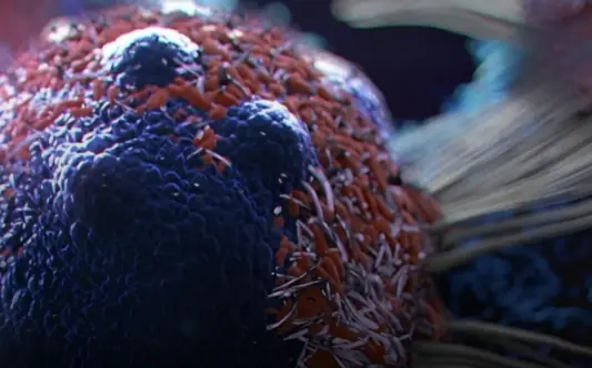 Eating for Prevention: 8 Foods That May Help Protect Your Health