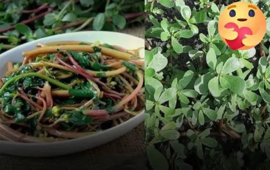 You’ll Be Surprised by the Nutritional Power of This Vegetable