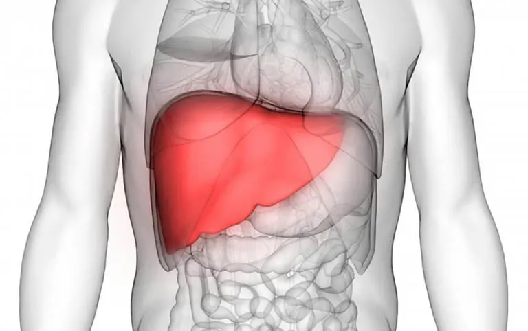5 warning signals that shouldn’t be ignored when it comes to liver health