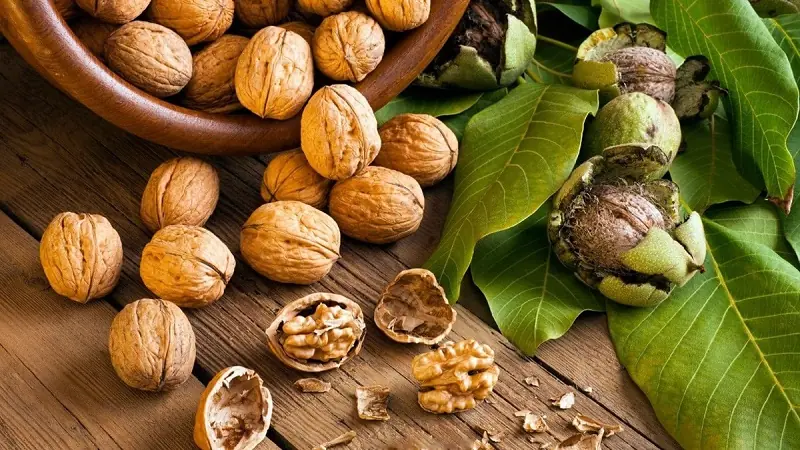 Doctors explain how eating walnuts may trigger significant changes in your body