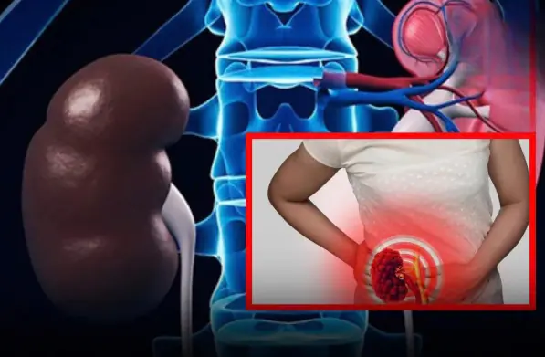 Good News: 7 Signs Your Kidneys Are Working as They Should
