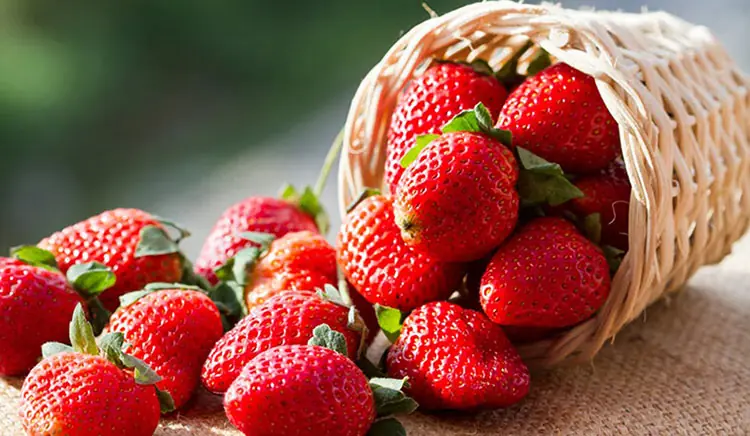 Can Strawberries Help Lower Blood Pressure? Here’s the Science