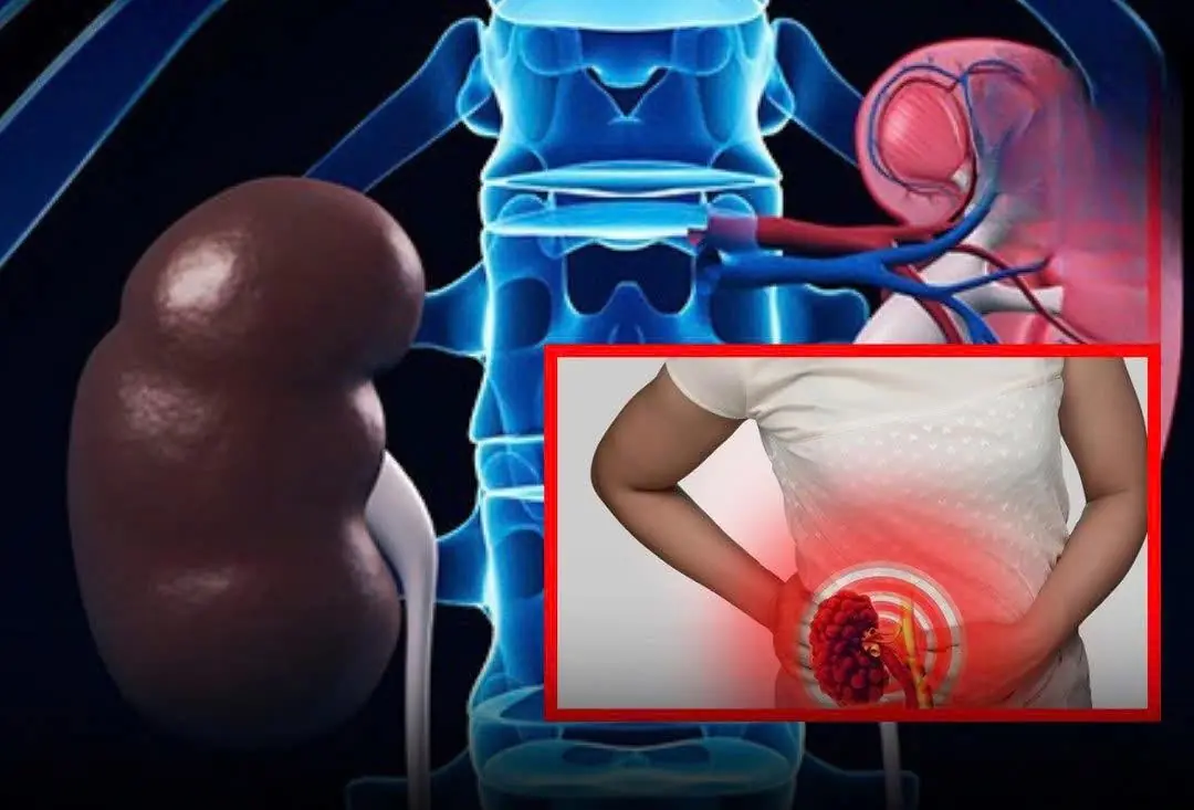 7 Signs Your Kidneys Are Working Well — Check Yourself