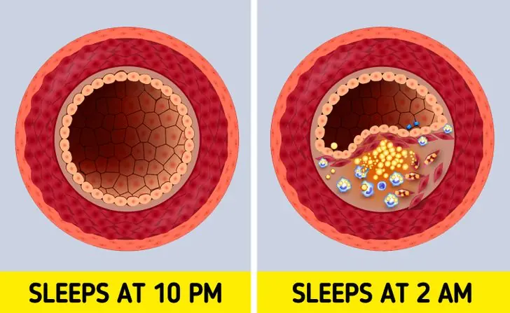 What Really Happens to Your Body When You Sleep at 10 PM Every Night