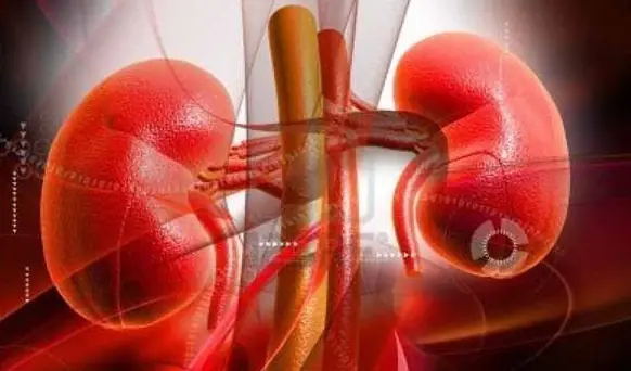 These 5 signs could mean your kidneys are functioning properly