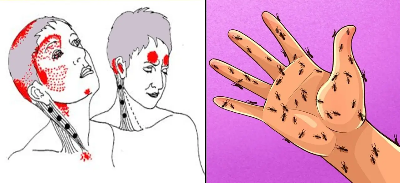 Signs of Vitamin B12 Deficiency That Are Often Ignored