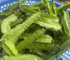 Doctors Say Eating Winged Beans May Lead to These Surprising Benefits