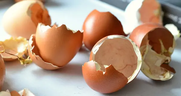 Don’t throw away eggshells - here’s why they can still be useful