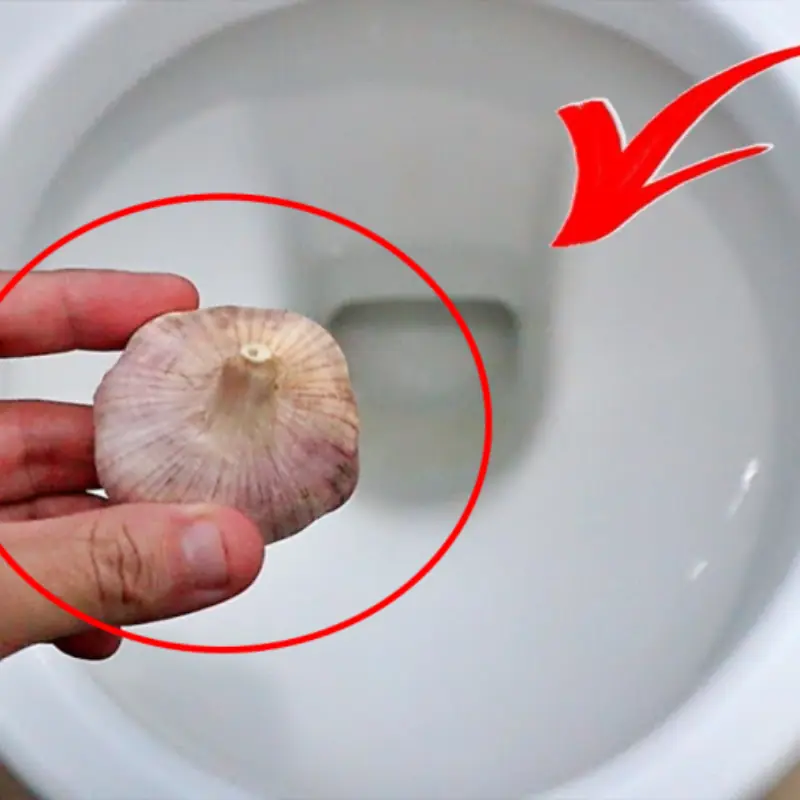 Why Some People Put a Clove of Garlic in the Toilet