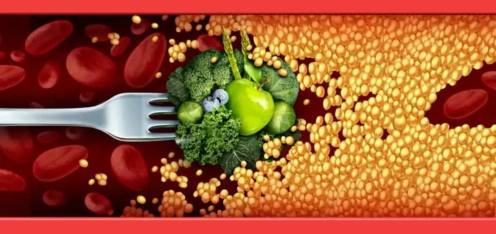 Say Goodbye to Clogged Arteries with Powerful Foods