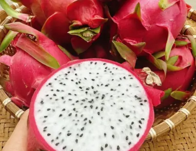 Doctor Reveals Eating Dragon Fruit Causes…