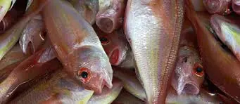 Healthy Fish Options for People with Diabetes