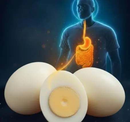 What Happens When You Eat Three Whole Eggs Every Day? The Results May Surprise You