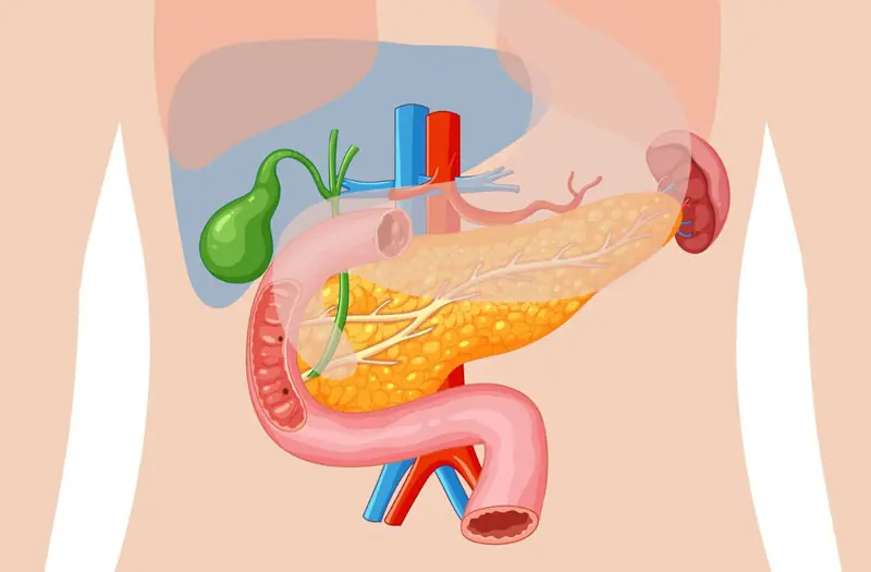 Pan.creatic Can.cer: Important Symptoms to Watch for Early Detection