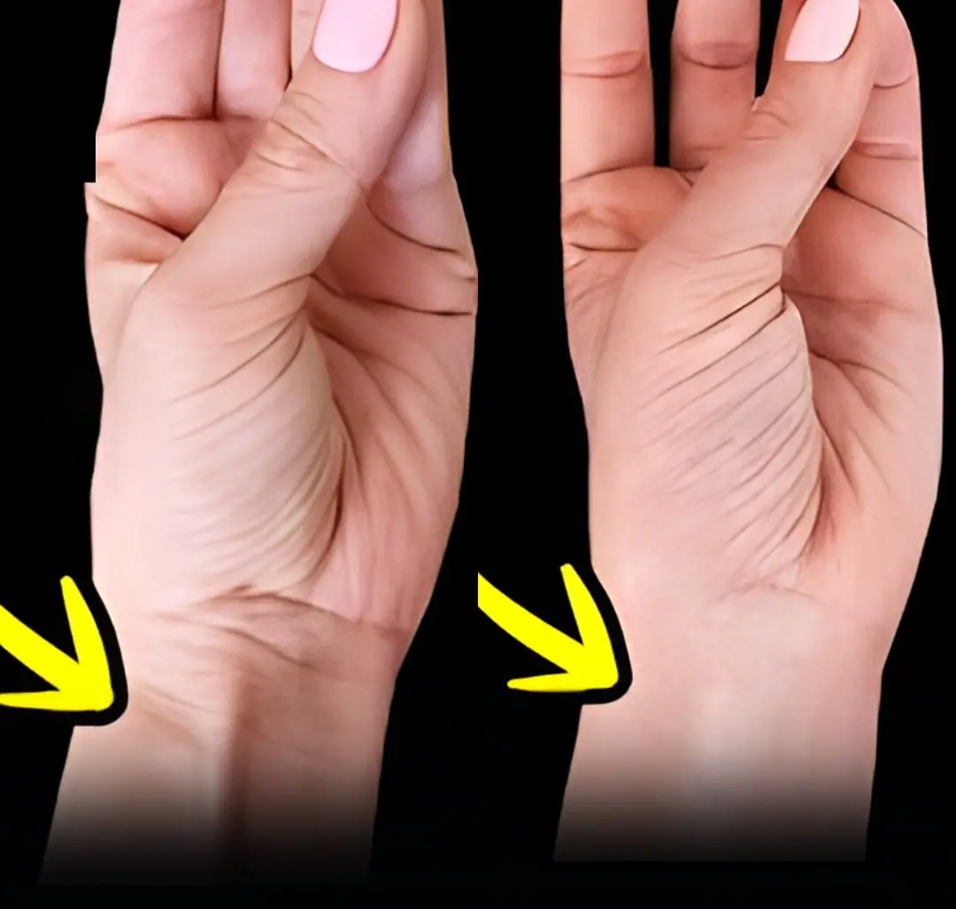 The Surprising Connection Between Your Tendon and Evolution.....