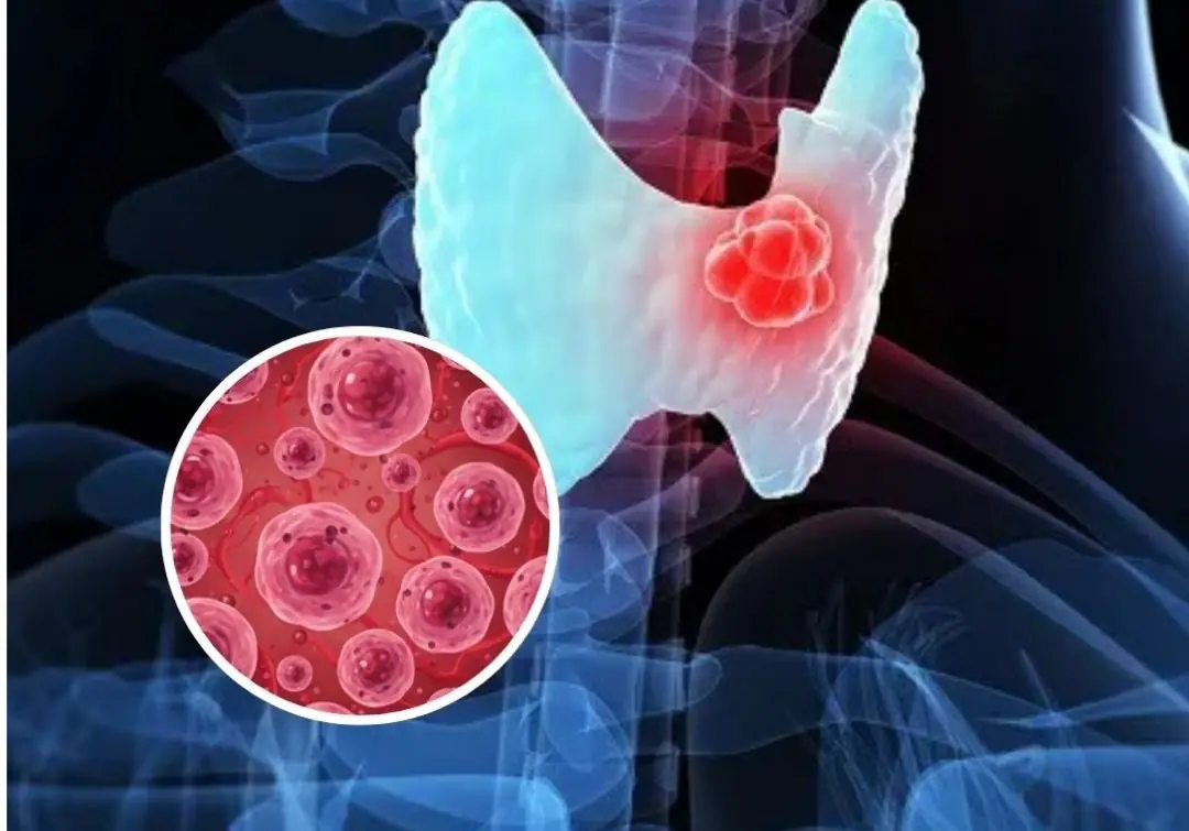 No matter how delicious it is, you can't eat it again.