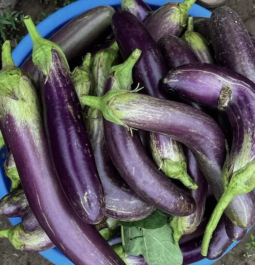 5 Vegetables You Should Never Eat Raw — They May Hide Parasites That Harm Your Health