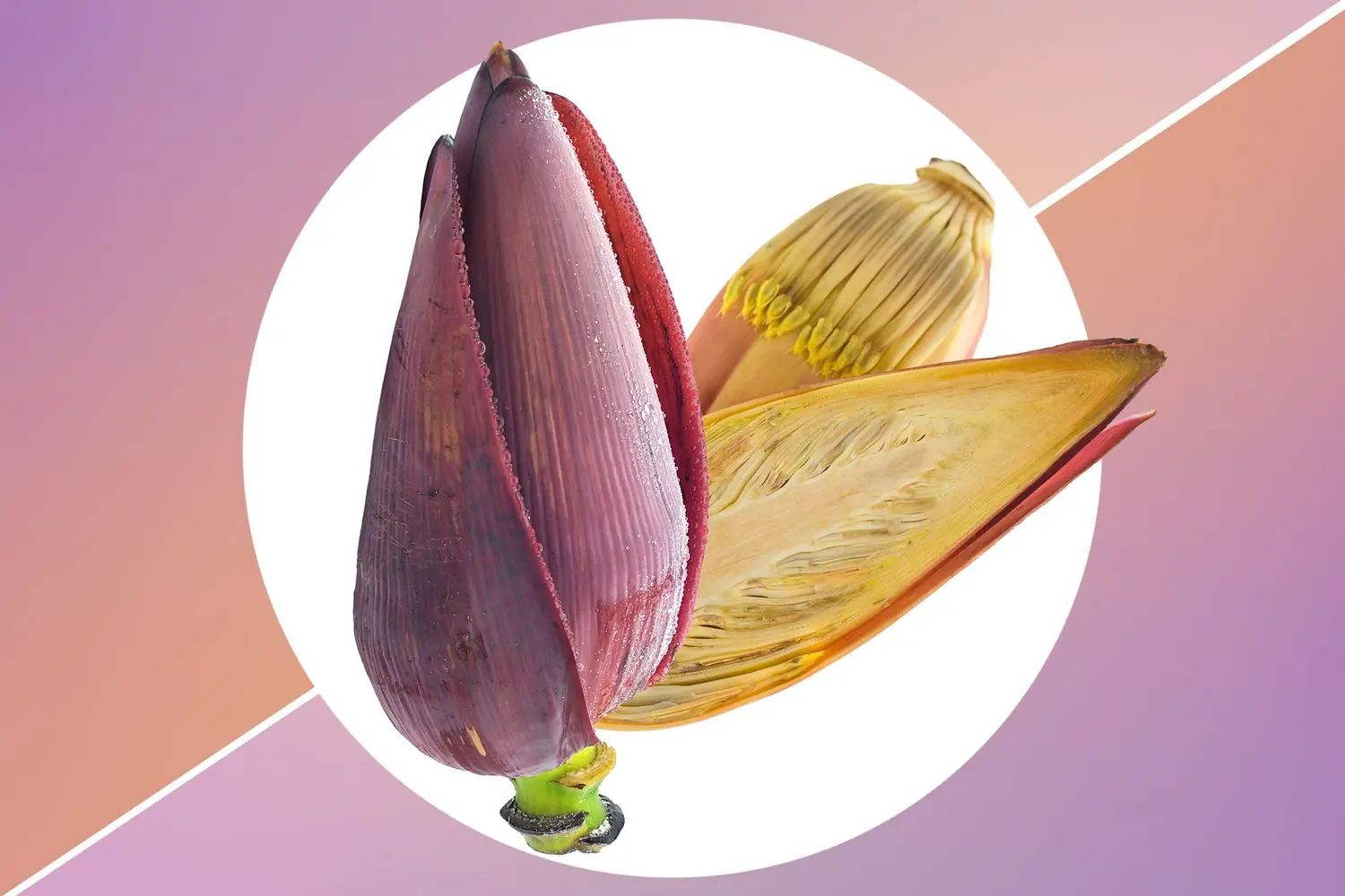 7 interesting facts about banana blossom