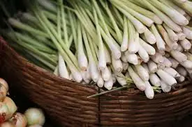 Some Gardeners Say These 5 Plants Can Help Deter Snakes — Easy to Grow on Your Balcony