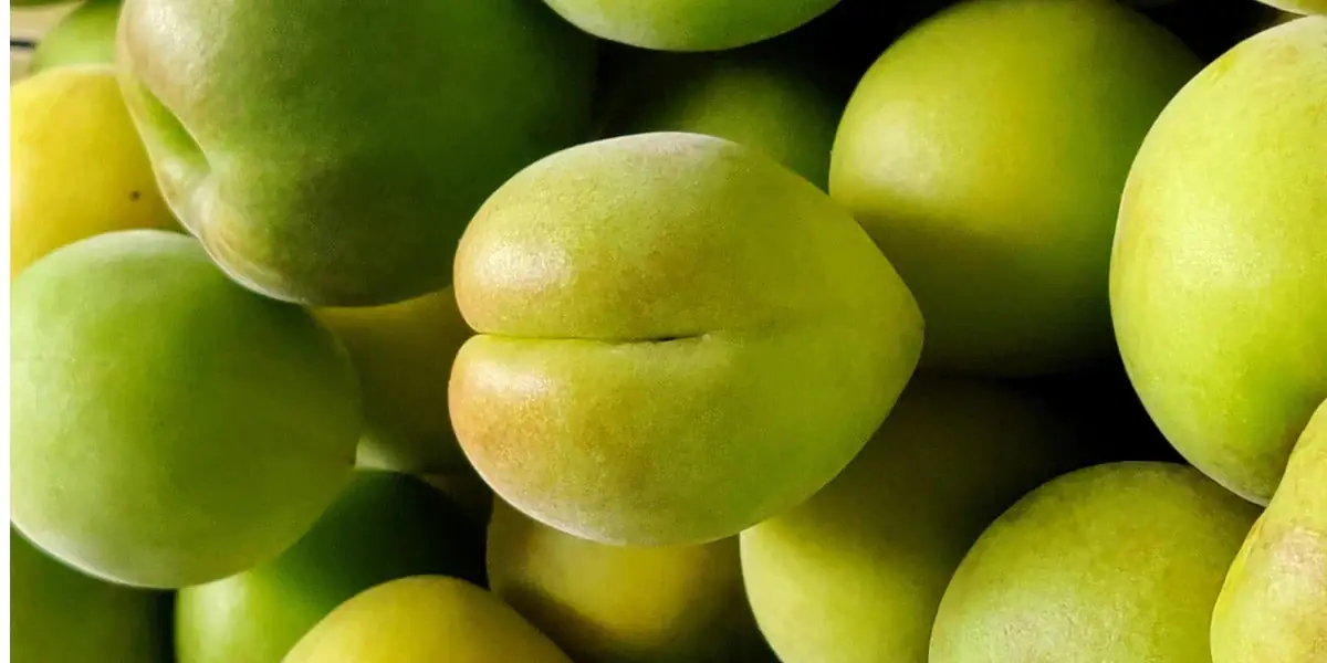 7 Health Benefits of Kakadu Plum