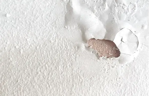 This Easy Method Helps You Handle Wall Peeling and Mold Without a Technician