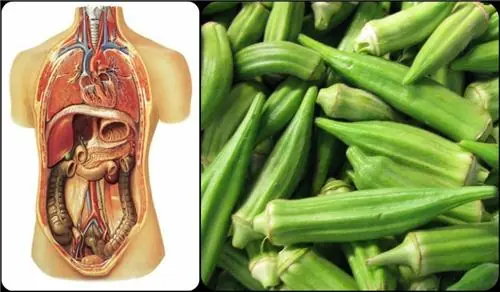 Okra May Be Healthy, but It Isn’t the Best Choice for Everyone — 3 People Who Should Limit It