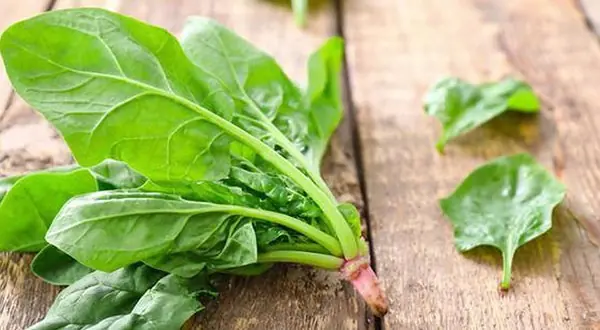 4 vegetables and 2 fruits that may support liver health when eaten often