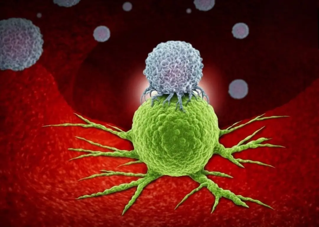 7 anti-can.cer foods you probably don’t know about